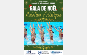 Gala de natation artistique